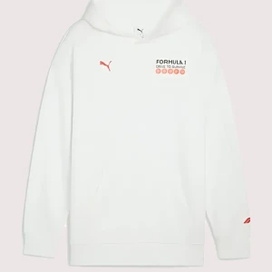Formula 1 Drive To Survive Graphic Race Hoodie