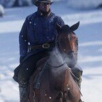 Arthur Morgan Red Dead Redemption 2 Blue Coat